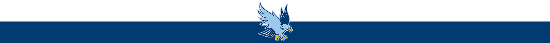 Mike Tully Basketball Camp LLC