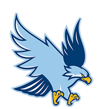 Mike Tully Basketball Camp LLC